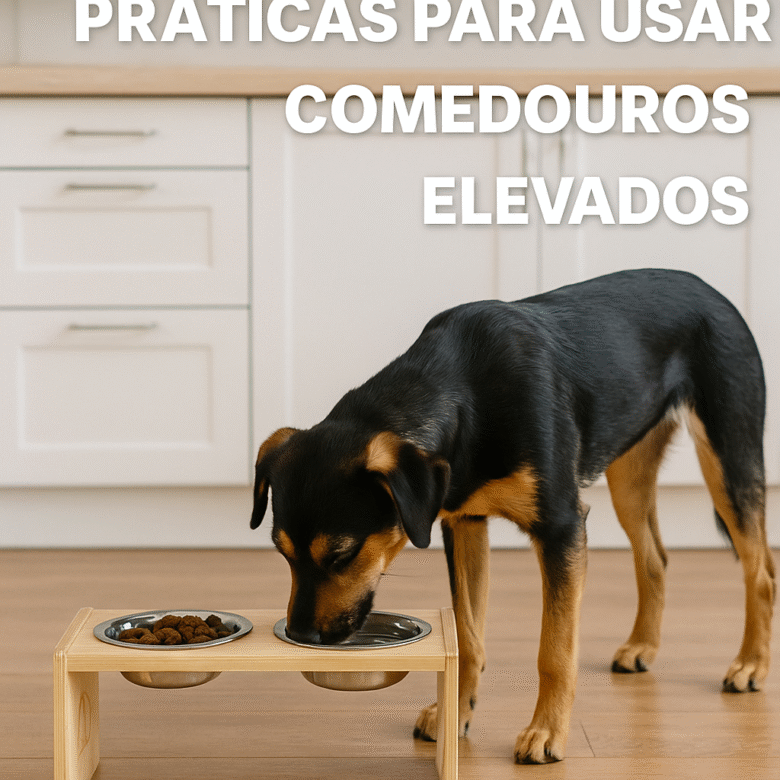 Comedouros Elevados para Cozinha Estreita Mais Conforto e Organização no Espaço Limitado