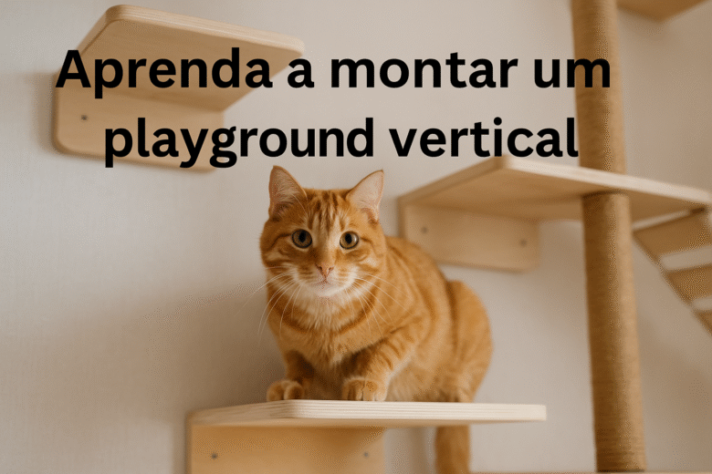 Como Montar um Playground Vertical para Gatos sem Furar a Parede Guia Completo para Apartamentos Pequenos