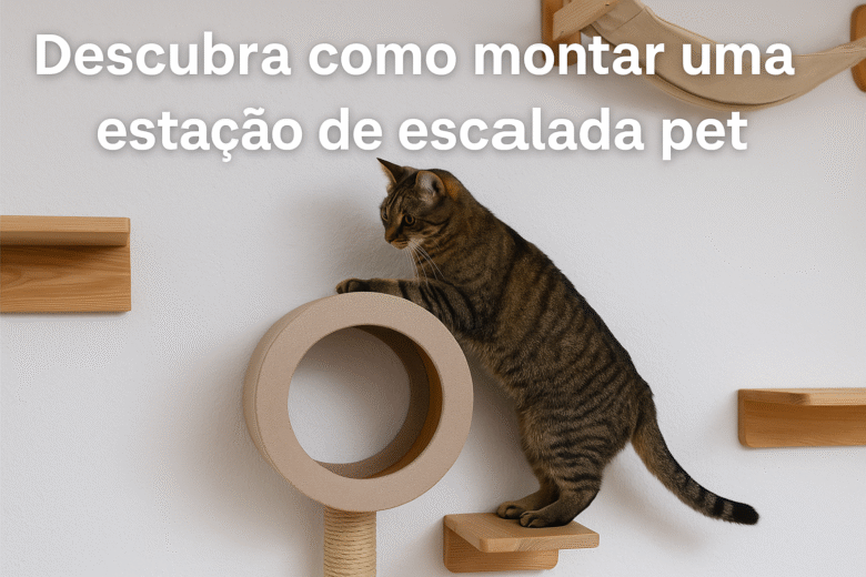 Estação de Escalada Pet para Studios Sem Reforma Guia Completo para Criar um Playground Vertical Seguro