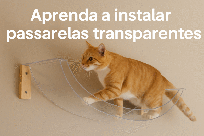 Passarelas Transparentes para Gatos em Drywall Leve Guia Completo