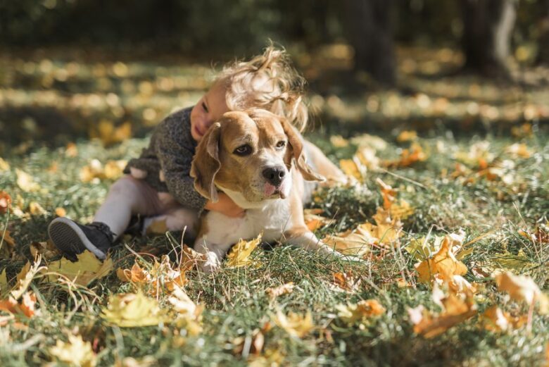 Horta Pet-Friendly na Varanda Cultive com Seu Animal sem Riscos