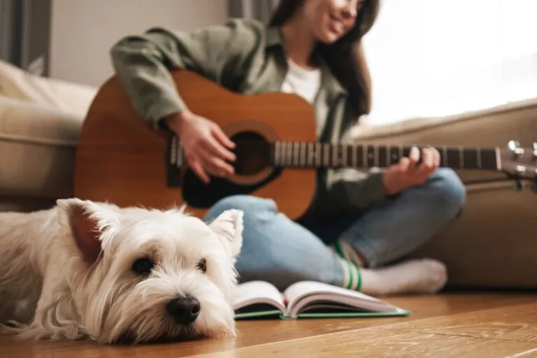 Música e Som para Pets O Que Funciona para Reduzir Ansiedade em Ambientes Urbanos